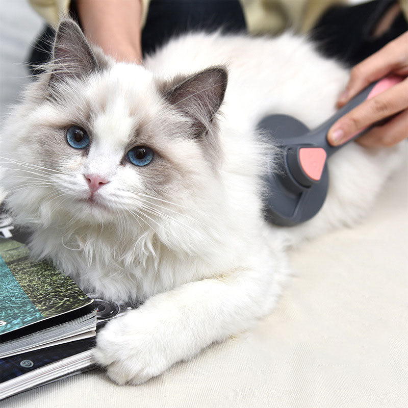 Escova Para Gato Removedora de Pelos Fácil de Limpar